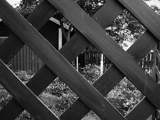fence2_liten.jpg
