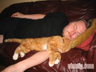 herr m och katten sover gott