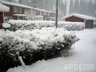 första snön för i år första snön för i år