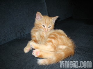 lillkillen