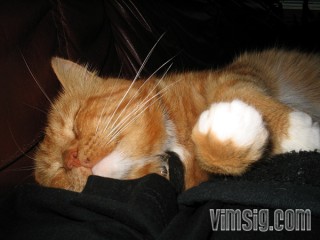 sover djupt sover djupt