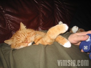 ger katten i tv-spel?
