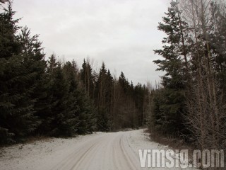 bara lite snö