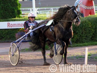 stiligt kallblod stiligt kallblod
