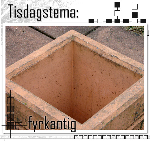 tisdagstema: fyrkantig tisdagstema: fyrkantig