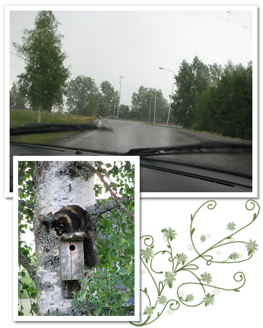 midsommarafton