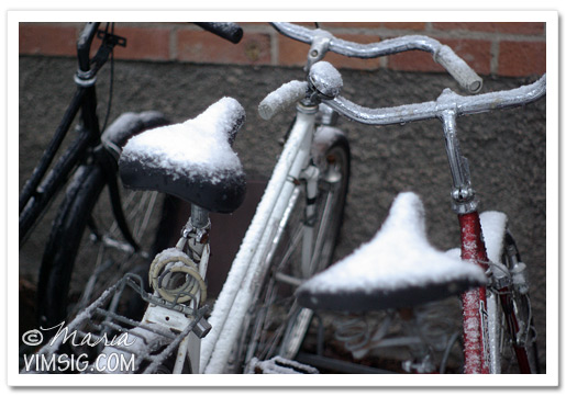 cykelväder?