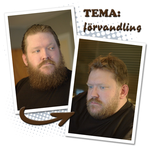 tema förvandling
