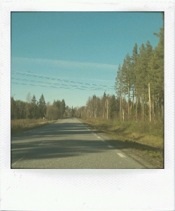 biltur i vackert höstväder