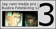 3:e pris