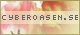 cyberoasen.se