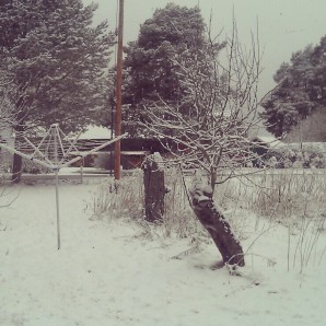 snö på morgonen